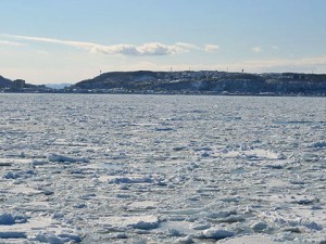 オホーツク海 流氷 どこから