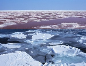オホーツク海 流氷 年々 減少