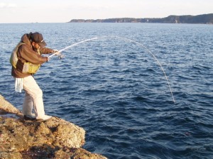 アニサキス 釣り 魚