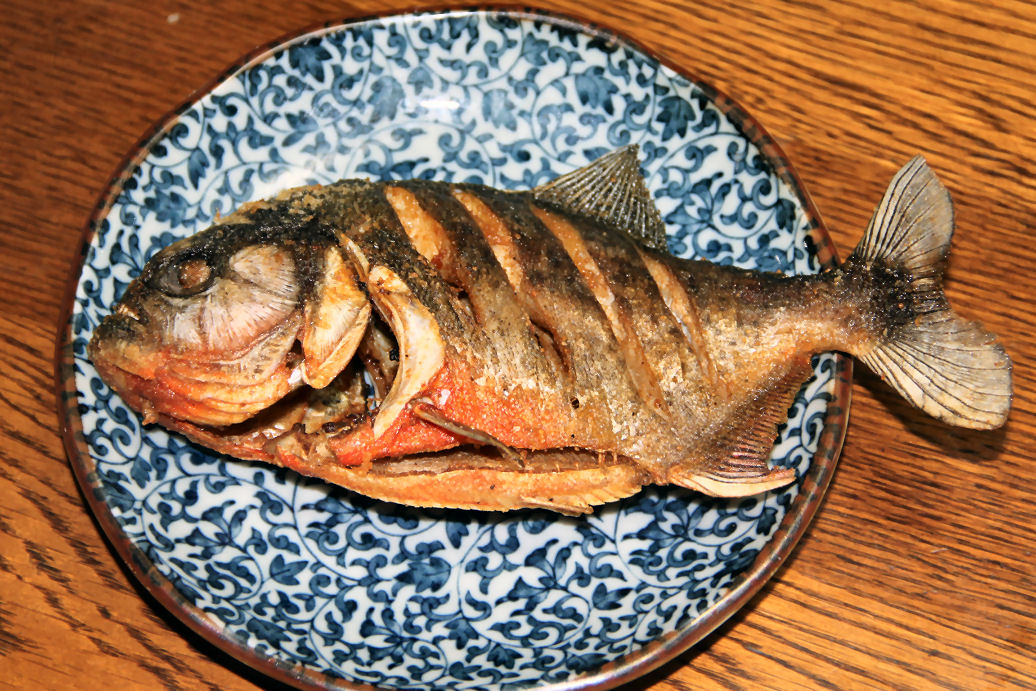 ピラニアは食べれるし味は美味しい？食用のものが販売してる？ お役立ちなんでも情報局