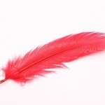 赤い羽根が欲しいけど、売ってるところはどこ？