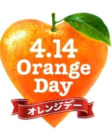 オレンジデー 日本 韓国 違い