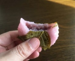 桜餅の葉 食べる