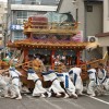 長崎くんち 掛け声 もってこい 意味