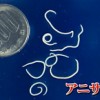 アニサキス 大きさ 見つけ方