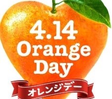 オレンジデー 日本 韓国 違い