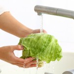 野菜を洗わないと食中毒に？農薬や虫は加熱で対応可能？