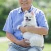 70歳 80歳 犬を飼う